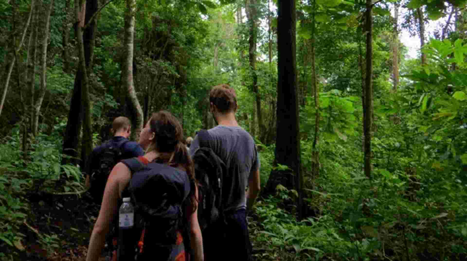 High Mountain day hike from Chiang Mai
