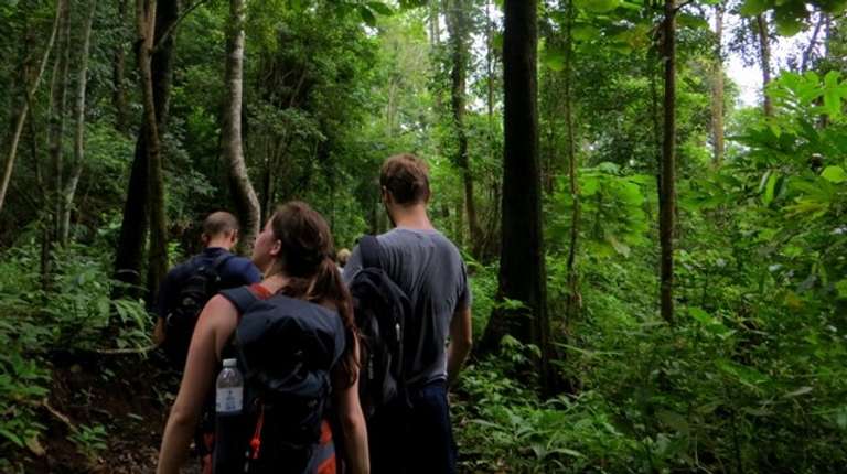 High Mountain day hike from Chiang Mai trip - alternative tour available