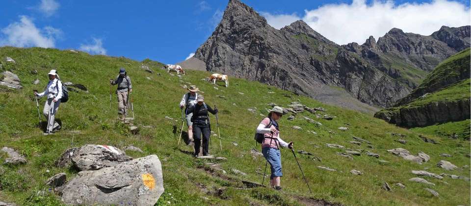 High Trails of the Bernese Oberland Guided Hike - Utracks - Switzerland - Image 6