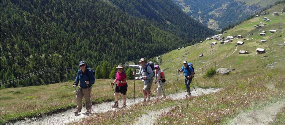 High Trails of the Bernese Oberland Guided Hike - Utracks - Switzerland - Image 8