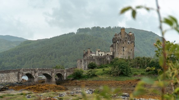 Image 4 of 8