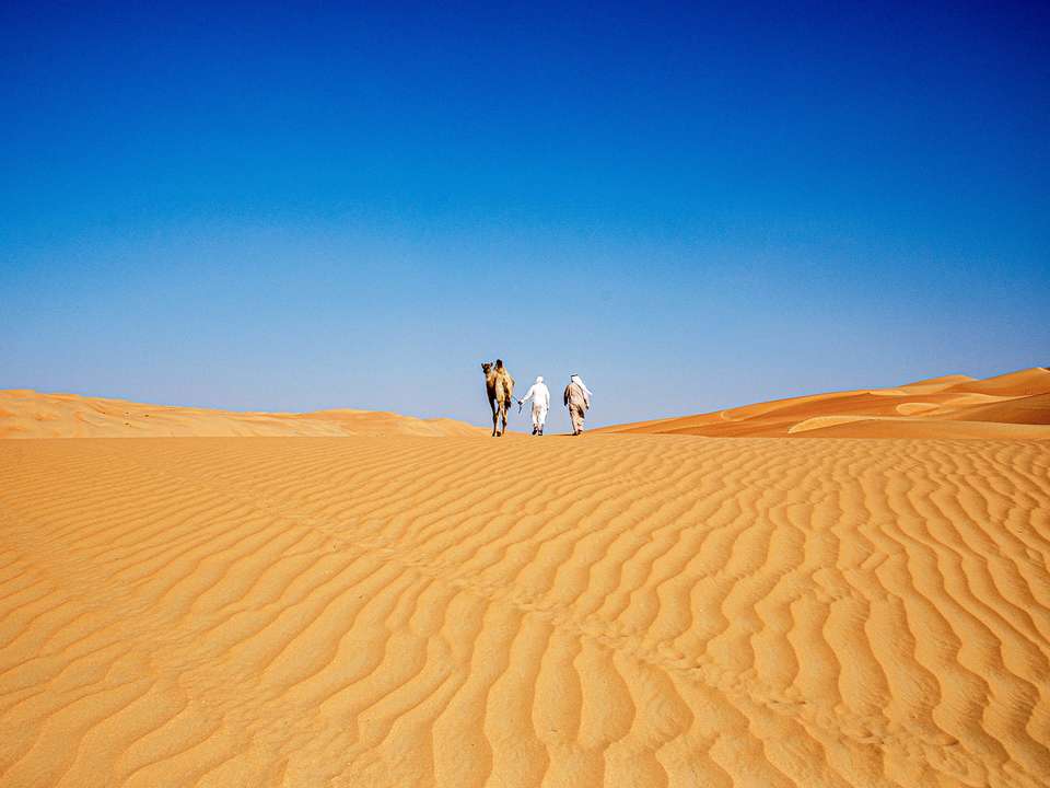 Highlights of Abu Dhabi - 6 days - On The Go Tours - UAE - Image 4