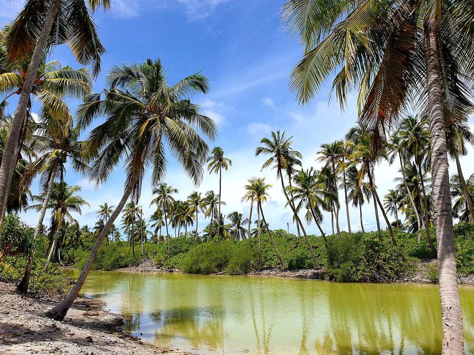 Highlights of Addu Atoll - 5 days - undefined - Image 2