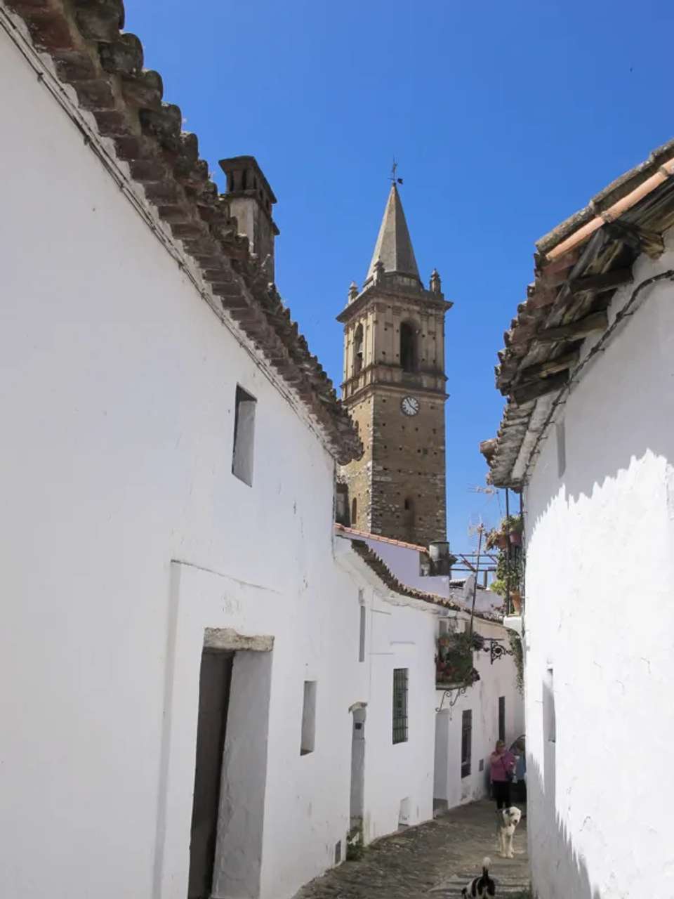 Image 4 of 18