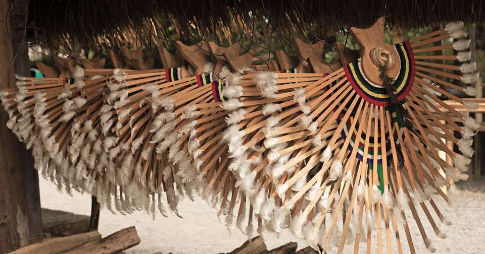 Highlights of Assam and Nagaland - Explore - India - Image 8
