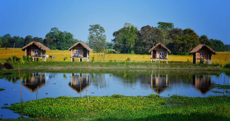 Highlights of Assam and Nagaland - Explore - India - Image 9