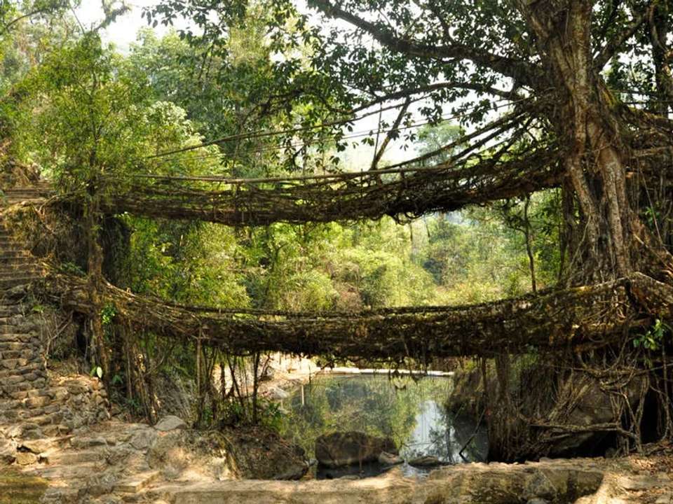 Highlights of Assam and Nagaland - undefined - Image 8