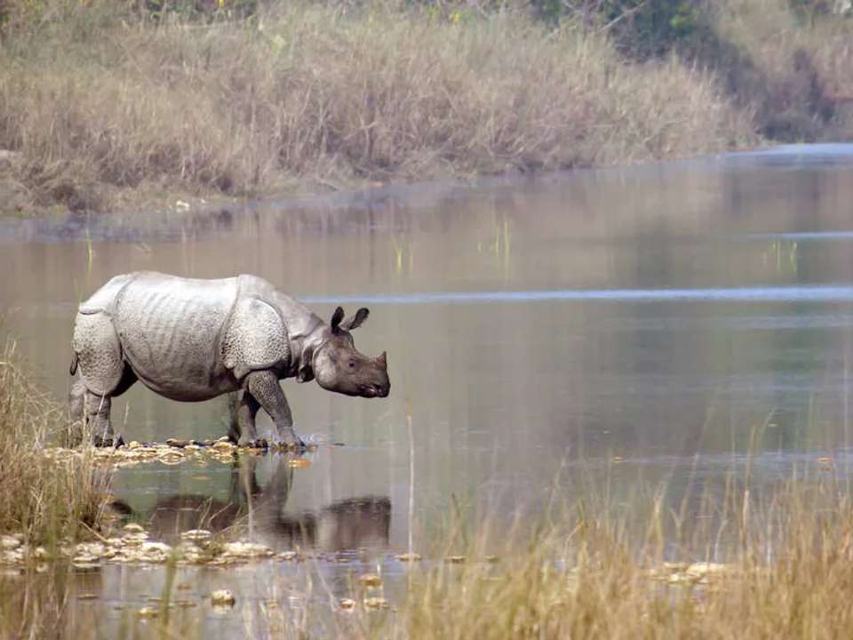 Highlights of Assam and Nagaland - undefined - Image 10