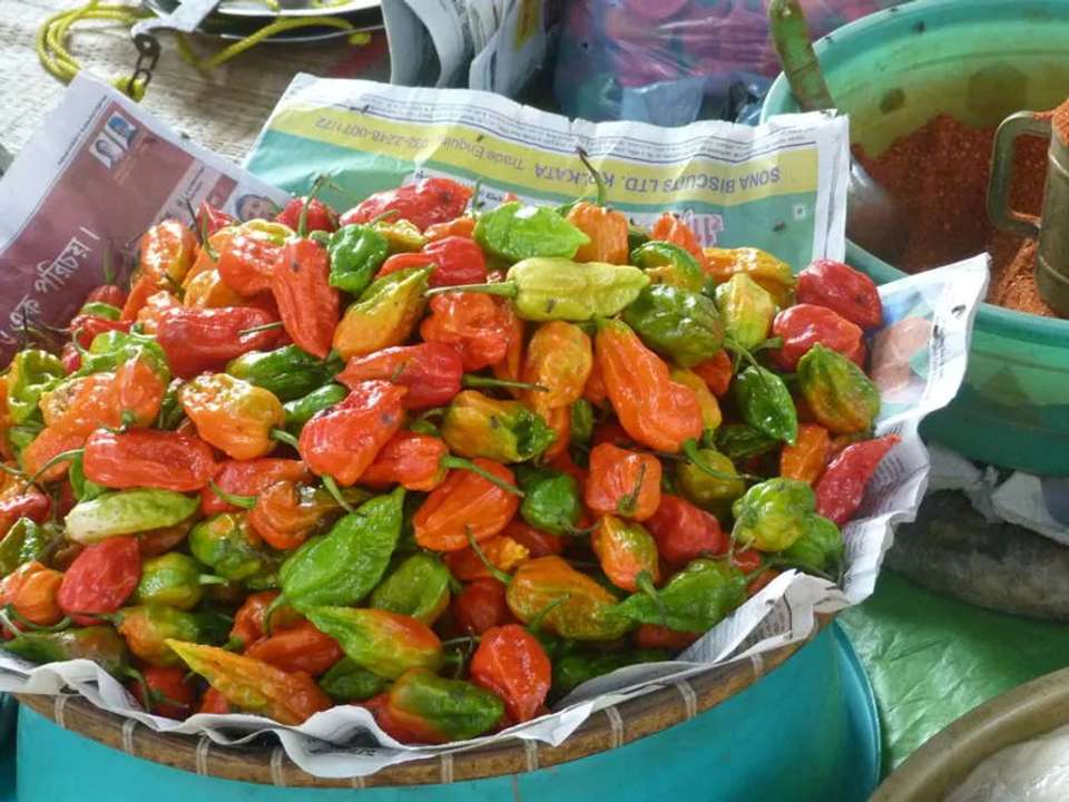 Highlights of Assam and Nagaland - undefined - Image 11