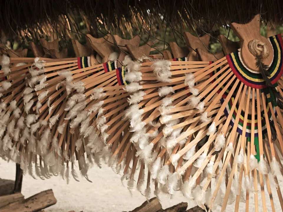 Highlights of Assam and Nagaland - undefined - Image 13