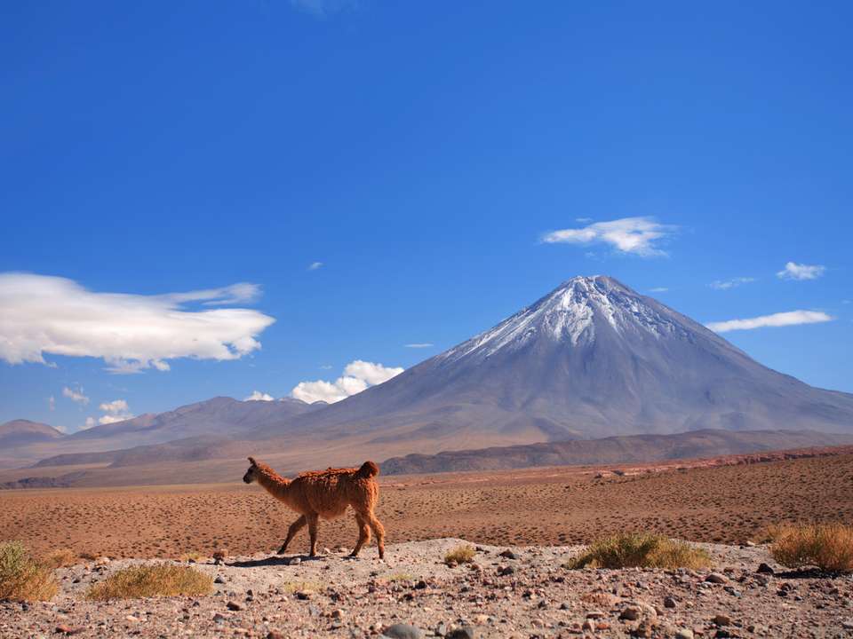 Highlights of Bolivia - 9 days - On The Go Tours - Bolivia - Image 3