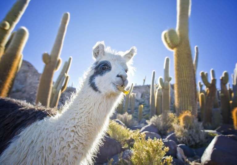 Highlights Of Chile - Fall tours
