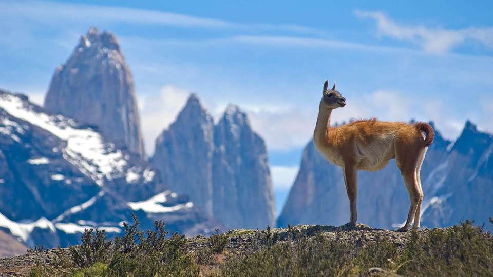 Highlights Of Chile - Indus Travels - Chile - Image 6