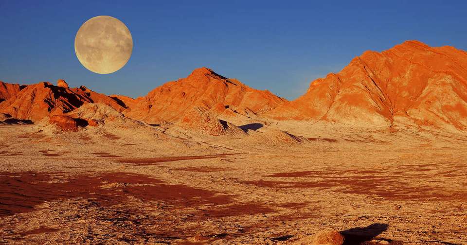 Highlights of Chile - Atacama to Paine - Explore - Chile - Image 7