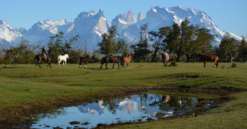 Highlights of Chile - Atacama to Paine - Explore - Chile - Image 10