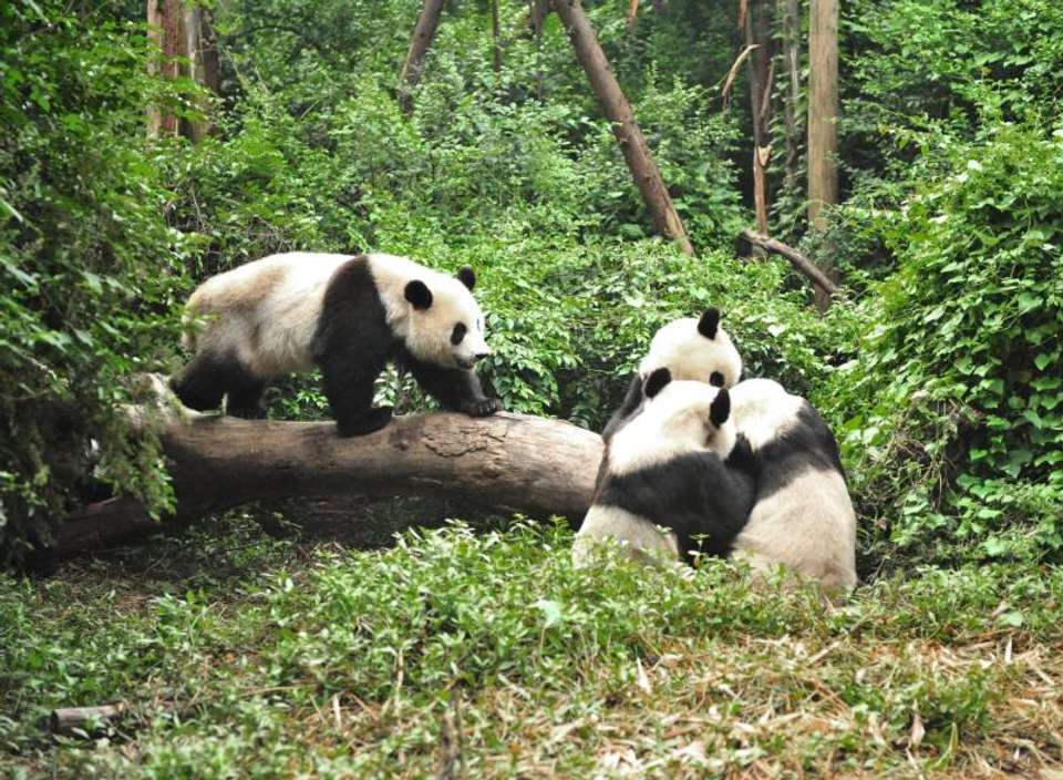 Highlights of China - Encounters Travel - Hong Kong - Image 8