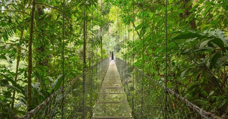 Costa Rica Walking Tour: Highlights of Costa Rica