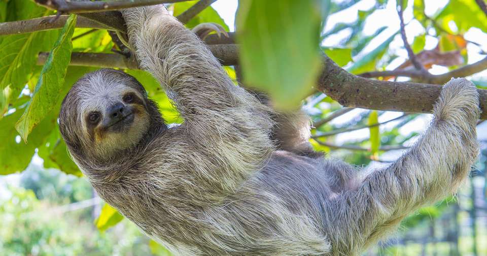 Highlights of Costa Rica - Explore - Costa Rica - Image 3