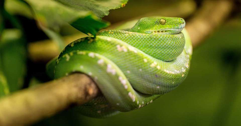 Highlights of Costa Rica - Explore - Costa Rica - Image 9