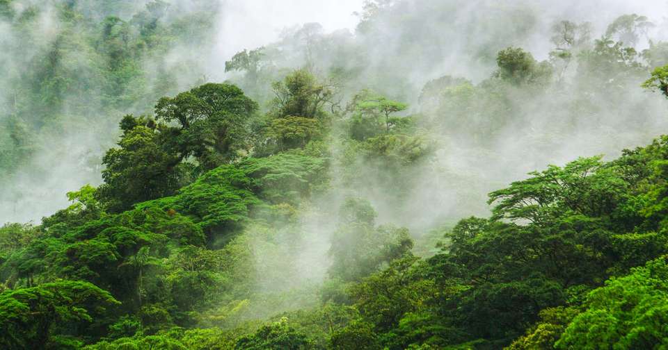 Highlights of Costa Rica - Explore - Costa Rica - Image 15