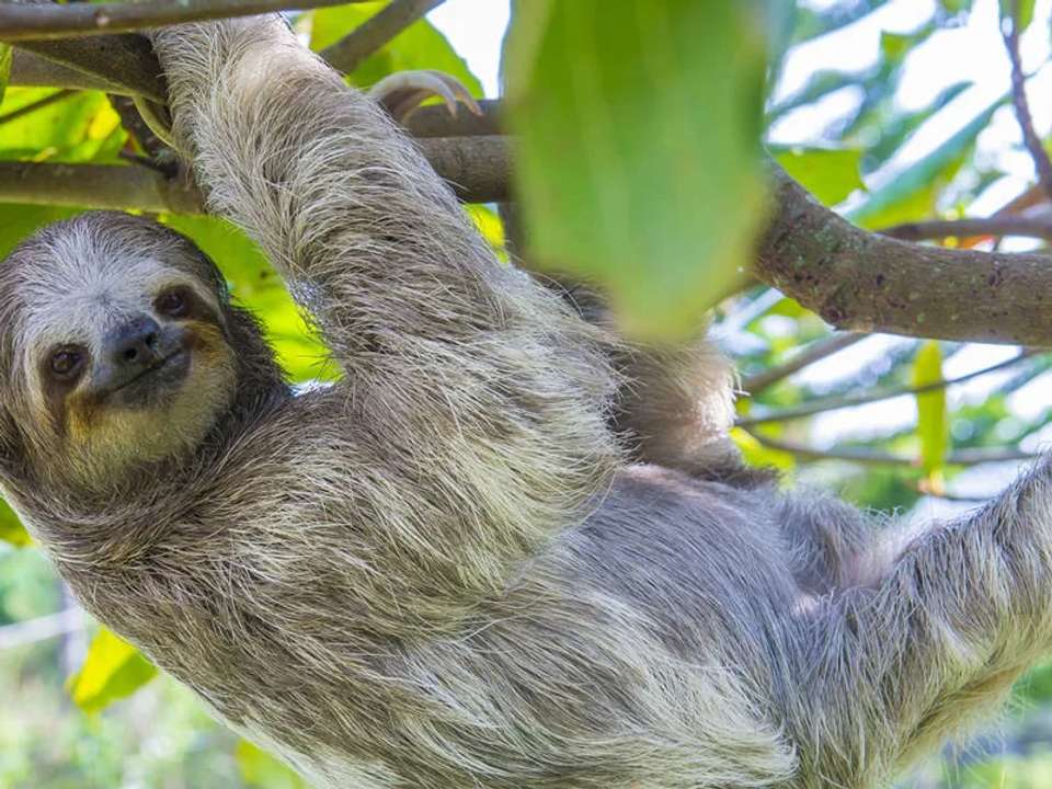 Highlights of Costa Rica - undefined - Image 19
