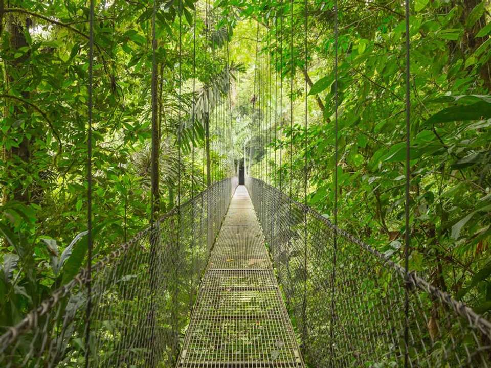 Highlights of Costa Rica - undefined - Image 17