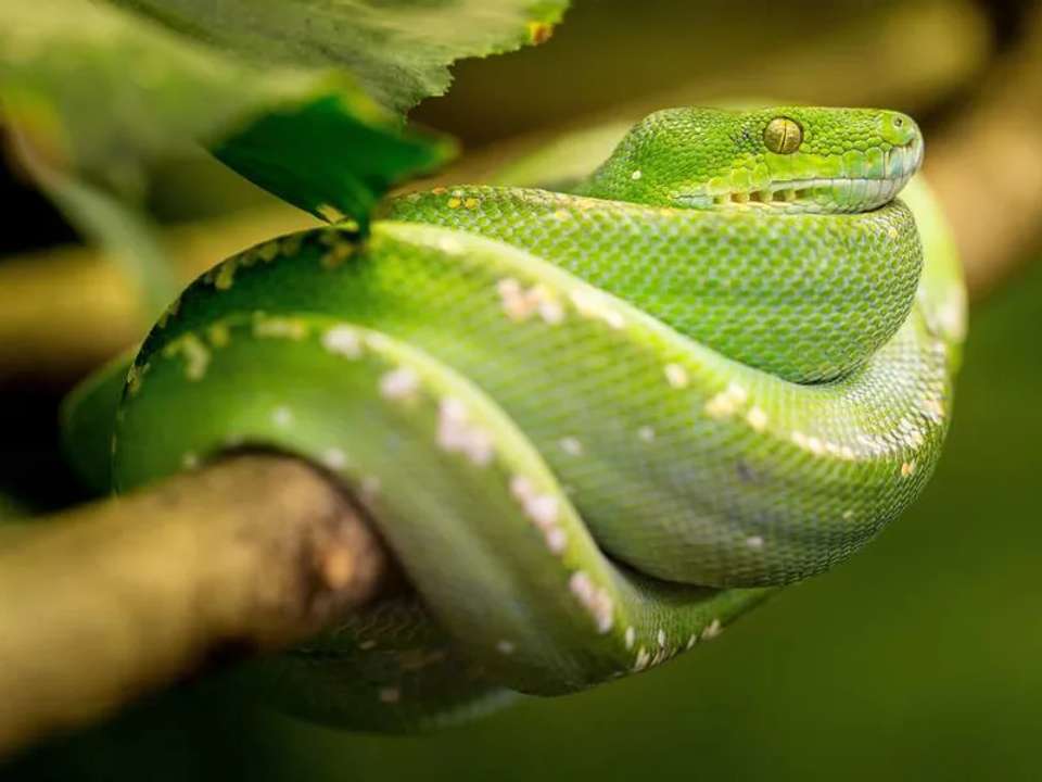 Highlights of Costa Rica - undefined - Image 12
