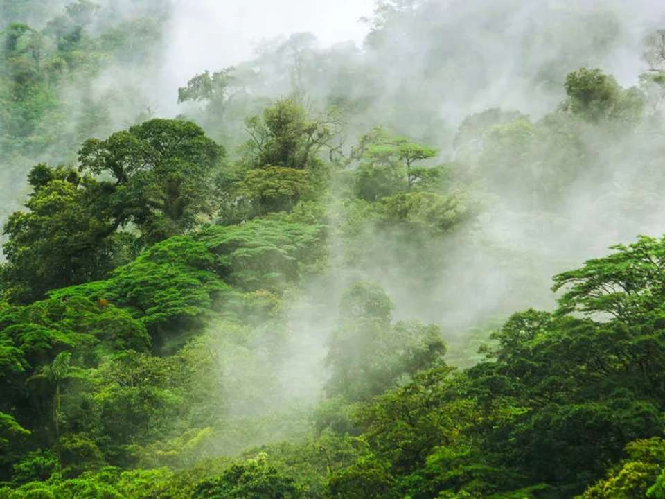 Highlights of Costa Rica - undefined - Image 9