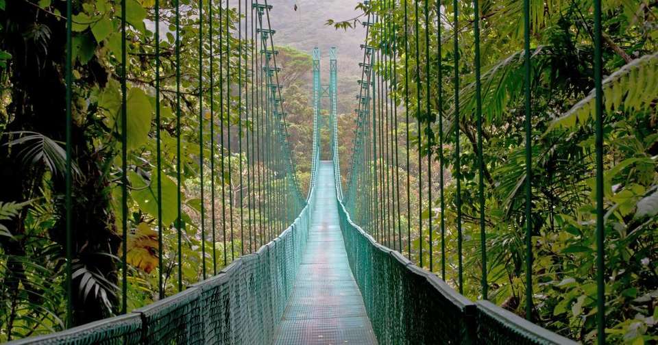 Highlights of Costa Rica + Beach Extension - Explore - Costa Rica - Image 1