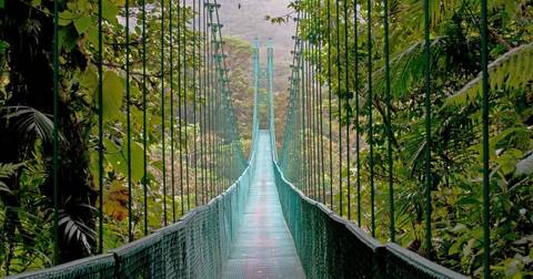 San Jose Wildlife Safaris And Game Drives Tour: Highlights Of Costa Rica + Beach Extension