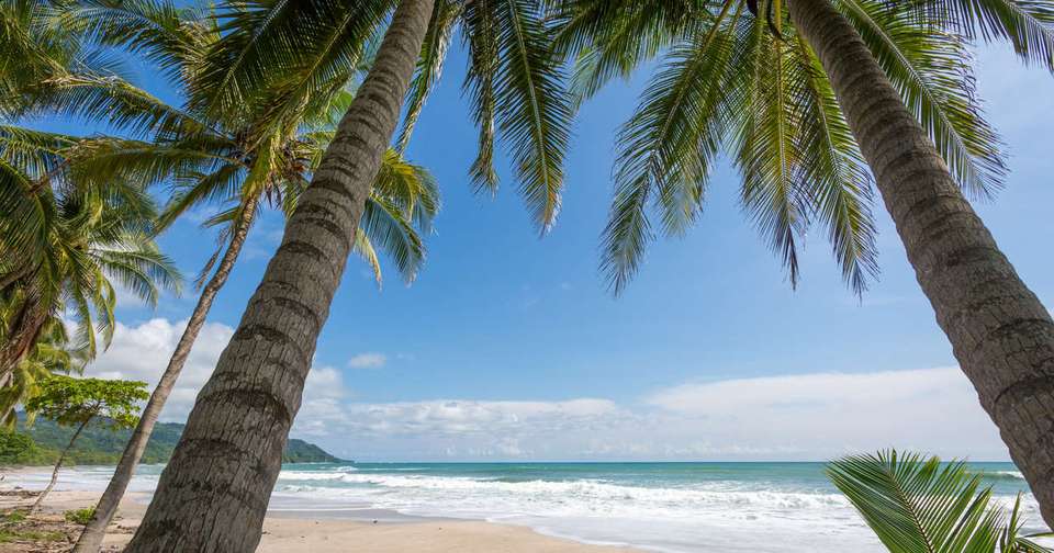 Highlights of Costa Rica + Beach Extension - Explore - Costa Rica - Image 6