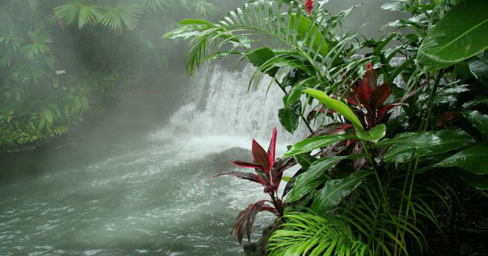 Highlights of Costa Rica + Beach Extension - Explore - Costa Rica - Image 14