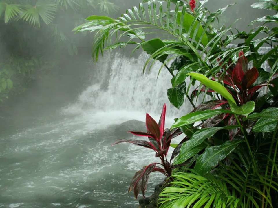 Highlights of Costa Rica + Beach Extension - undefined - Image 17
