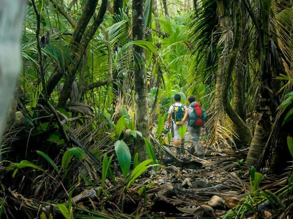 Highlights of Costa Rica + Beach Extension - undefined - Image 10