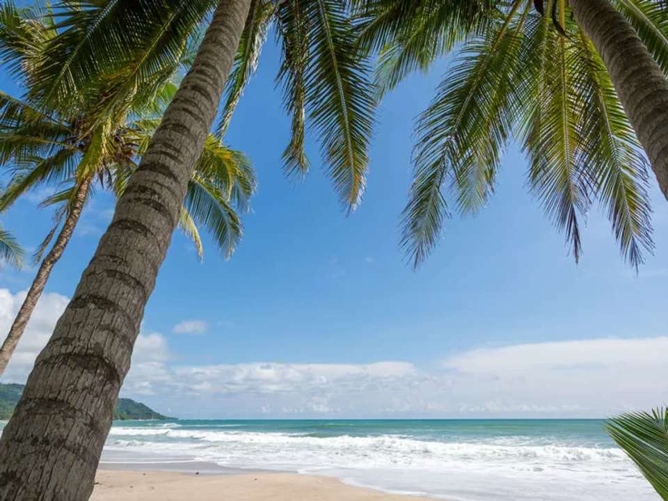 Highlights of Costa Rica + Beach Extension - undefined - Image 7