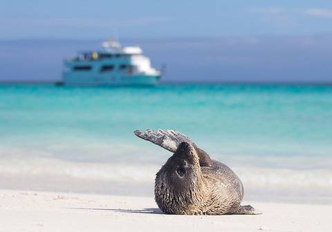 Highlights Of Ecuador And Peru - Spring Tours