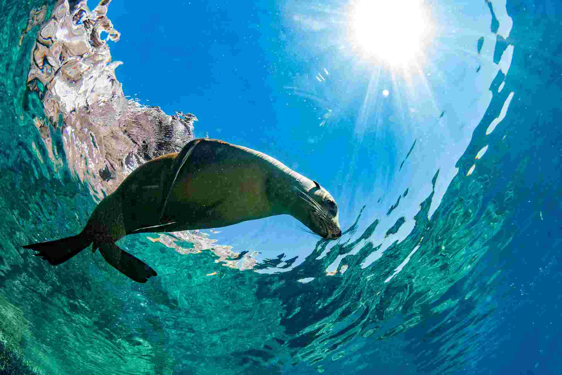 Highlights of Ecuador & the Galapagos