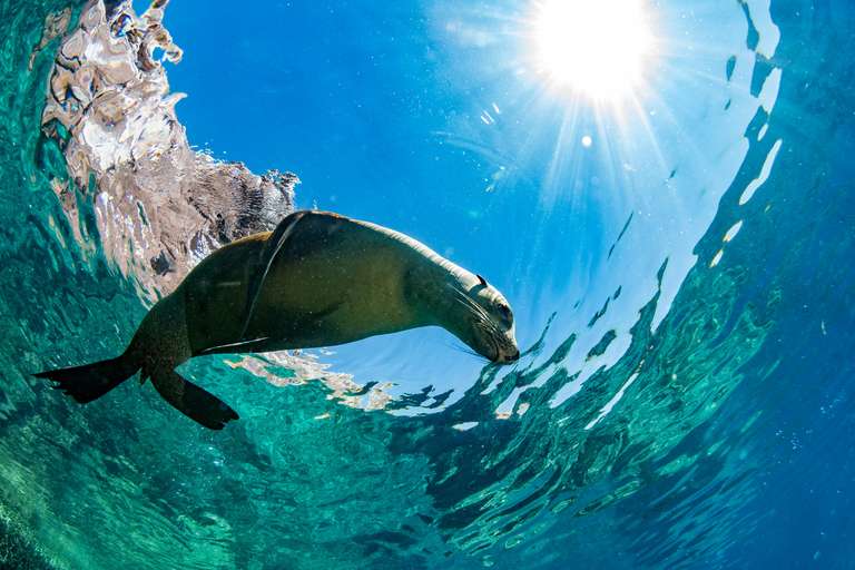 Highlights of Ecuador & the Galapagos trip - alternative tour available