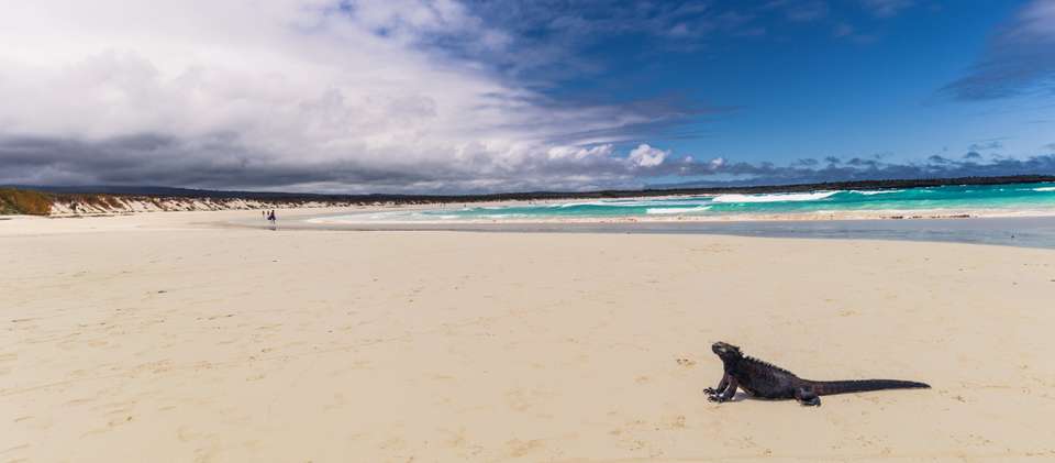 Highlights of Ecuador & the Galapagos - Exodus Adventure Travels - Ecuador - Image 18