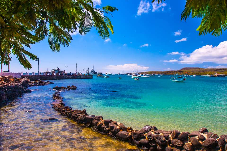 Highlights of Ecuador & the Galapagos - Exodus Adventure Travels - Ecuador - Image 14