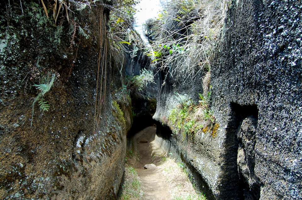 Highlights of Ecuador & the Galapagos - Exodus Adventure Travels - Ecuador - Image 6