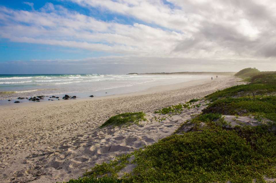 Highlights of Ecuador & the Galapagos - Exodus Adventure Travels - Ecuador - Image 4