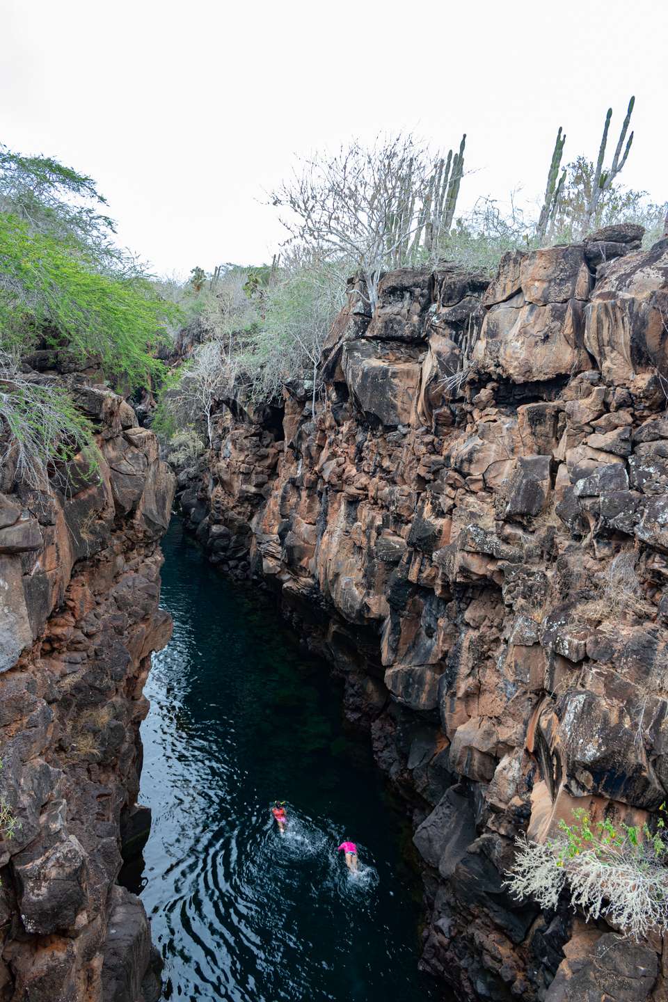 Highlights of Ecuador & the Galapagos - undefined - Image 3
