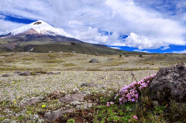 Highlights of Ecuador: Andes to Amazon