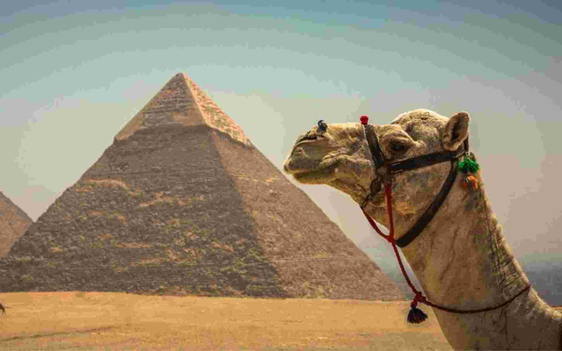 Highlights of Egypt (5 & 4 Star Hotels)