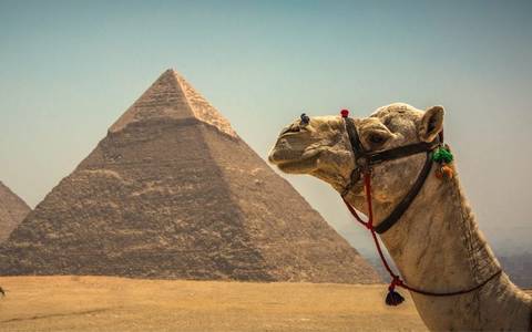 Highlights Of Egypt (5 & 4 Star Hotels) - 14 Days