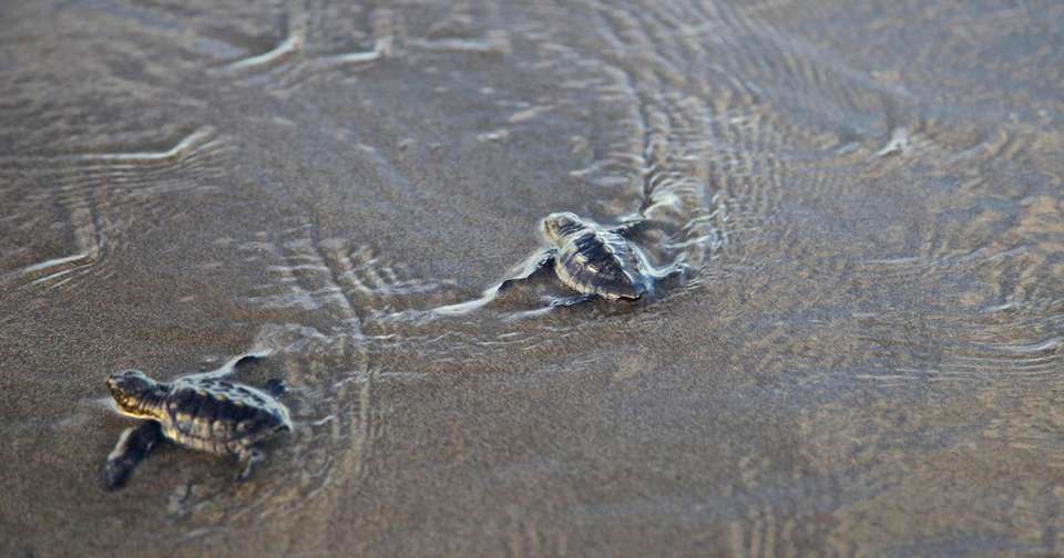 Highlights of El Salvador - Explore - El Salvador - Image 7