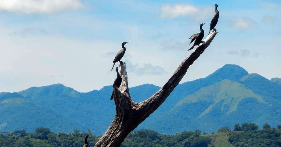 Highlights of El Salvador - Explore - El Salvador - Image 10