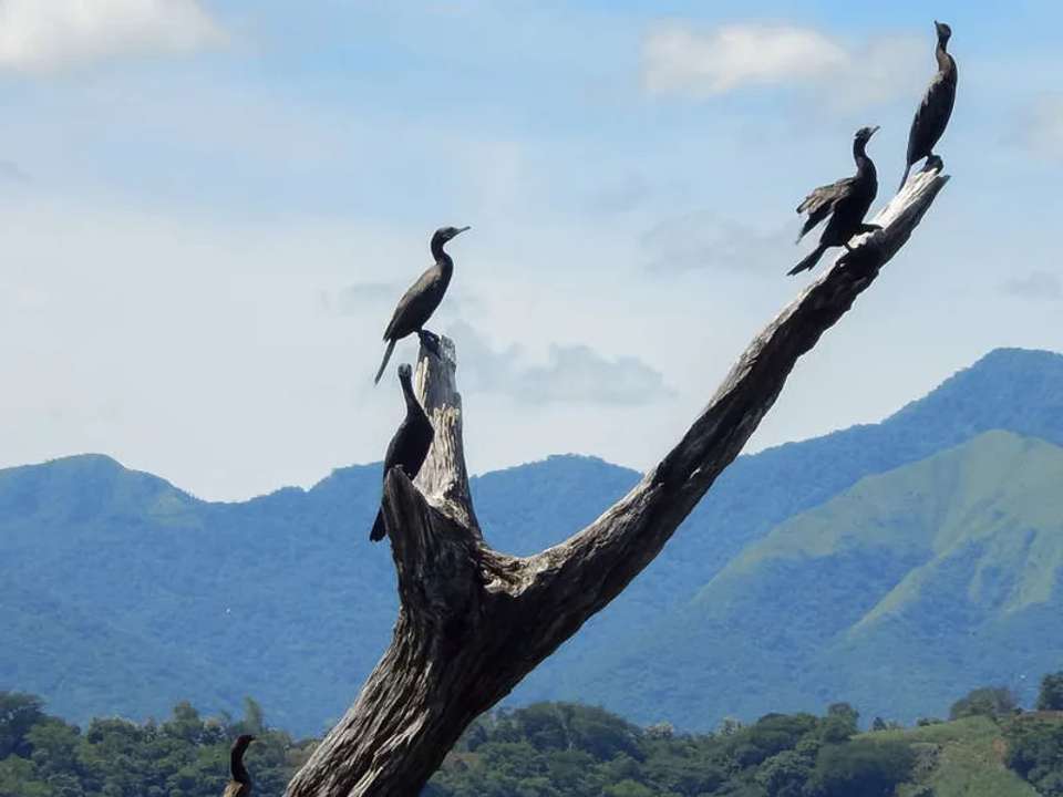 Image 13 of 17