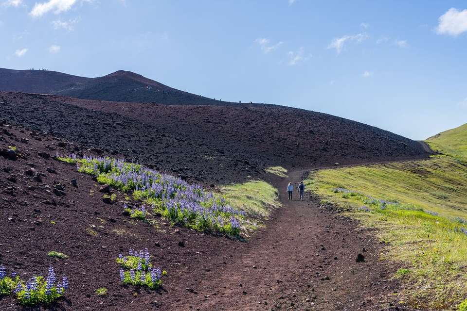 Highlights of Iceland (Ocean Victory) - Intrepid Travel - Iceland - Image 8